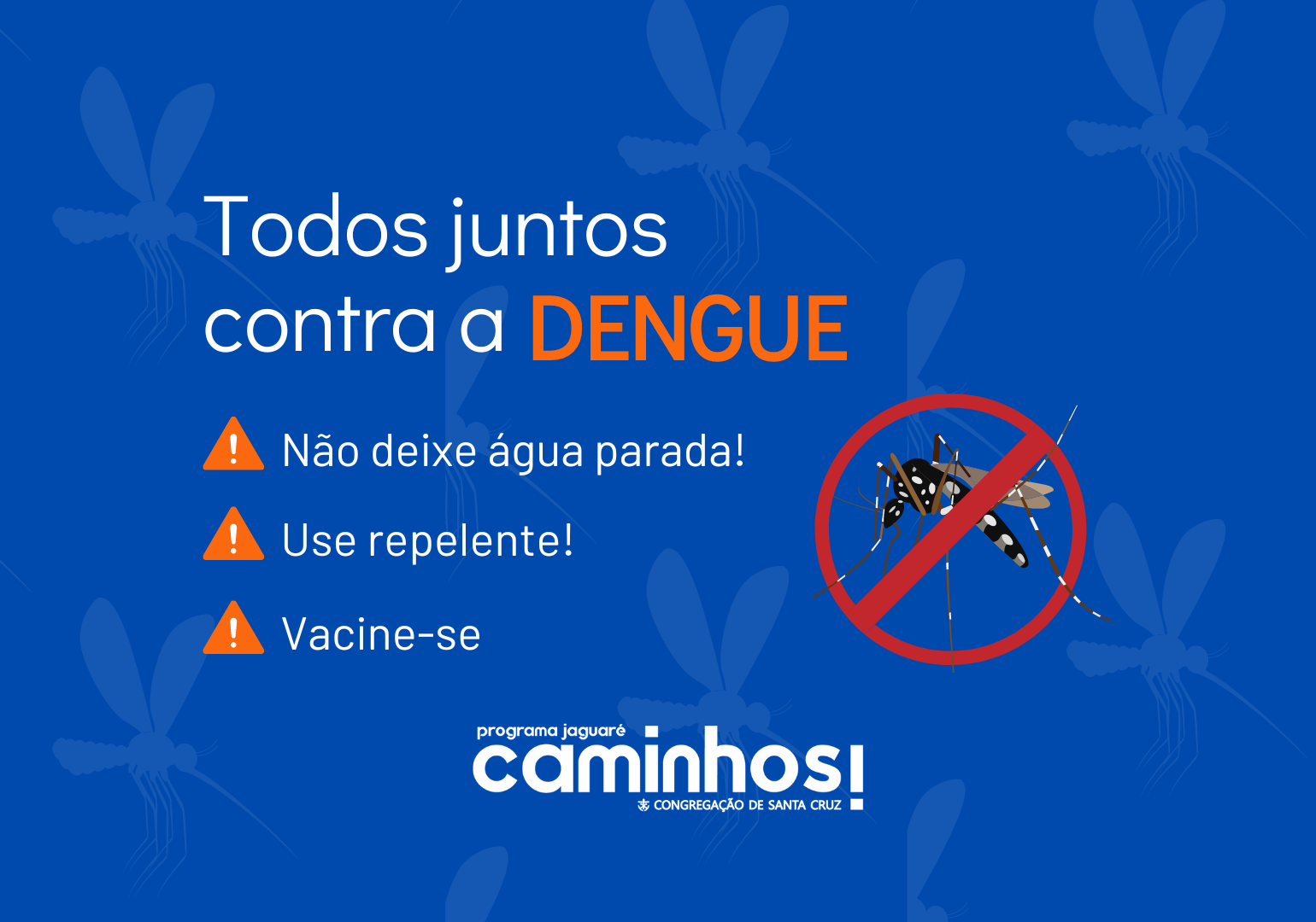 Dengue: Um Alerta para a Comunidade do Programa Jaguaré Caminhos.​